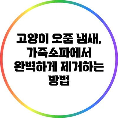 고양이 오줌 냄새, 가죽소파에서 완벽하게 제거하는 방법