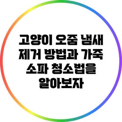 고양이 오줌 냄새 제거 방법과 가죽 소파 청소법을 알아보자