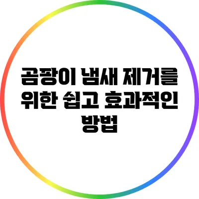 곰팡이 냄새 제거를 위한 쉽고 효과적인 방법