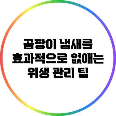 곰팡이 냄새를 효과적으로 없애는 위생 관리 팁