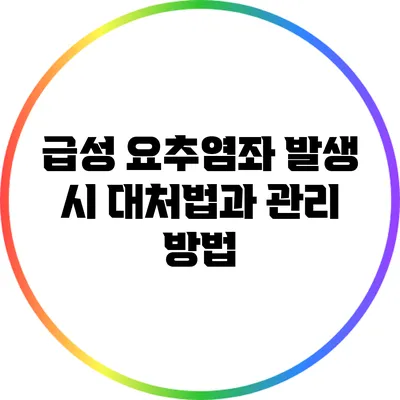 급성 요추염좌 발생 시 대처법과 관리 방법