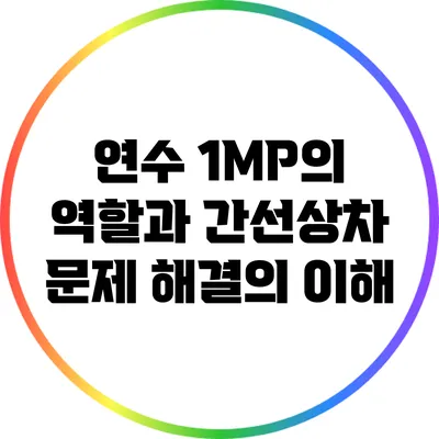 연수 1MP의 역할과 간선상차 문제 해결의 이해