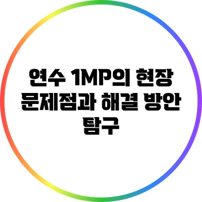 연수 1MP의 현장: 문제점과 해결 방안 탐구