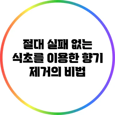절대 실패 없는 식초를 이용한 향기 제거의 비법