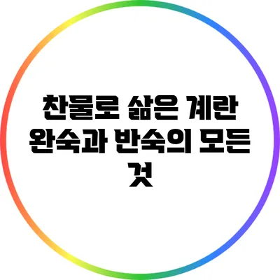 찬물로 삶은 계란: 완숙과 반숙의 모든 것