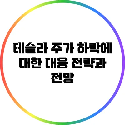 테슬라 주가 하락에 대한 대응 전략과 전망