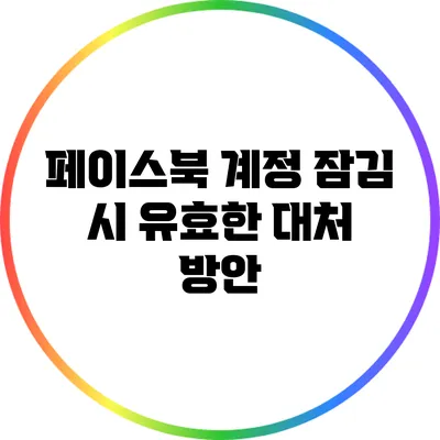 페이스북 계정 잠김 시 유효한 대처 방안