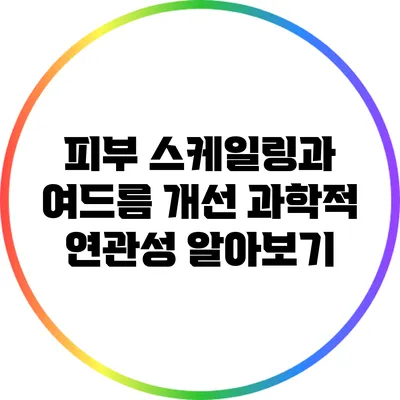 피부 스케일링과 여드름 개선: 과학적 연관성 알아보기