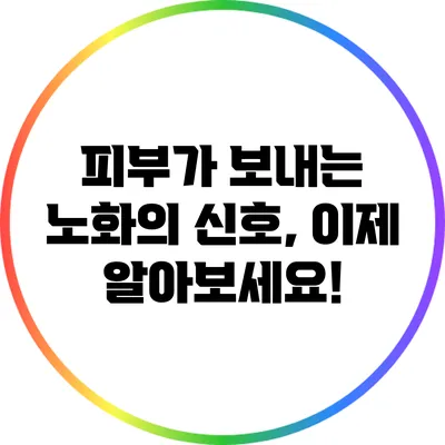 피부가 보내는 노화의 신호, 이제 알아보세요!