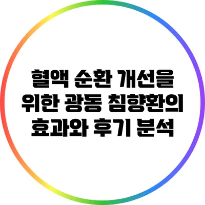혈액 순환 개선을 위한 광동 침향환의 효과와 후기 분석