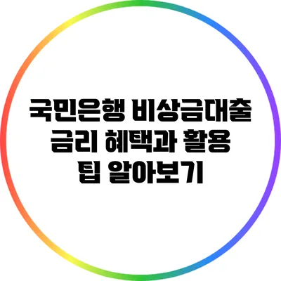 국민은행 비상금대출 금리 혜택과 활용 팁 알아보기