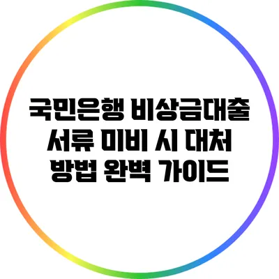 국민은행 비상금대출 서류 미비 시 대처 방법 완벽 가이드