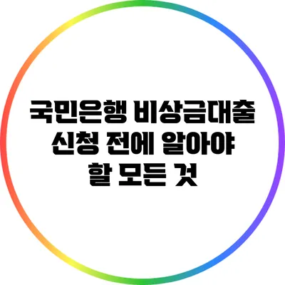 국민은행 비상금대출 신청 전에 알아야 할 모든 것