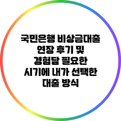 국민은행 비상금대출 연장 후기 및 경험담: 필요한 시기에 내가 선택한 대출 방식