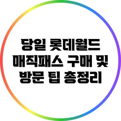 당일 롯데월드 매직패스 구매 및 방문 팁 총정리
