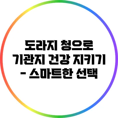 도라지 청으로 기관지 건강 지키기 - 스마트한 선택