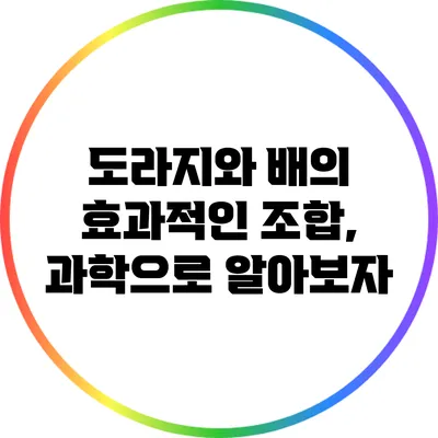 도라지와 배의 효과적인 조합, 과학으로 알아보자