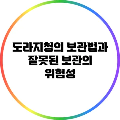도라지청의 보관법과 잘못된 보관의 위험성