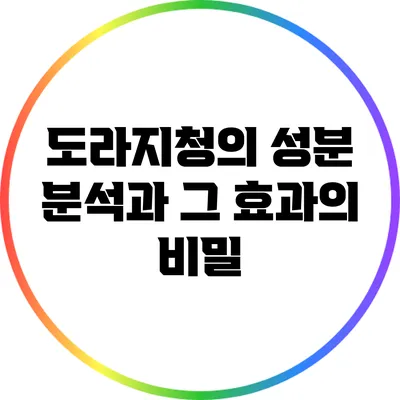 도라지청의 성분 분석과 그 효과의 비밀
