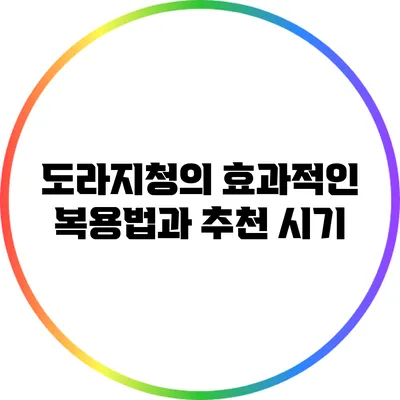 도라지청의 효과적인 복용법과 추천 시기