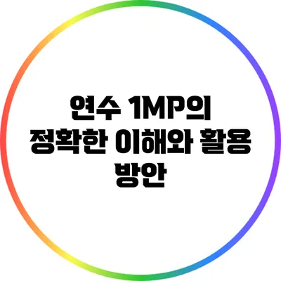 연수 1MP의 정확한 이해와 활용 방안
