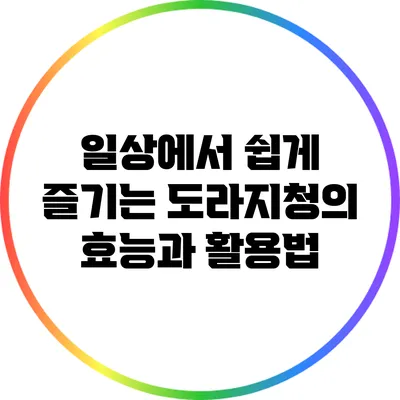 일상에서 쉽게 즐기는 도라지청의 효능과 활용법
