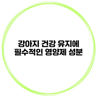 강아지 건강 유지에 필수적인 영양제 성분