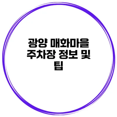 광양 매화마을 주차장 정보 및 팁