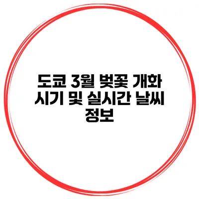 도쿄 3월 벚꽃 개화 시기 및 실시간 날씨 정보