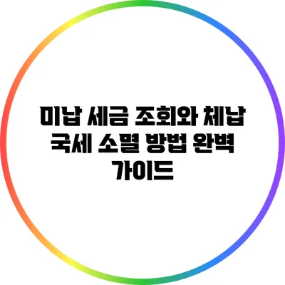 미납 세금 조회와 체납 국세 소멸 방법 완벽 가이드