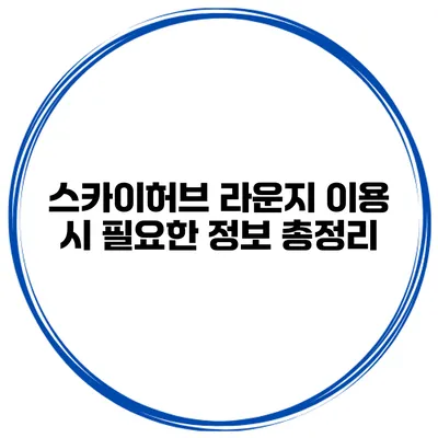스카이허브 라운지 이용 시 필요한 정보 총정리
