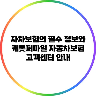 자차보험의 필수 정보와 캐롯퍼마일 자동차보험 고객센터 안내