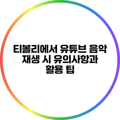 티볼리에서 유튜브 음악 재생 시 유의사항과 활용 팁